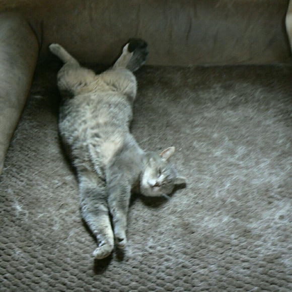 Hello - Picture 5 of 9